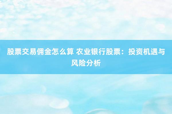 股票交易佣金怎么算 农业银行股票：投资机遇与风险分析