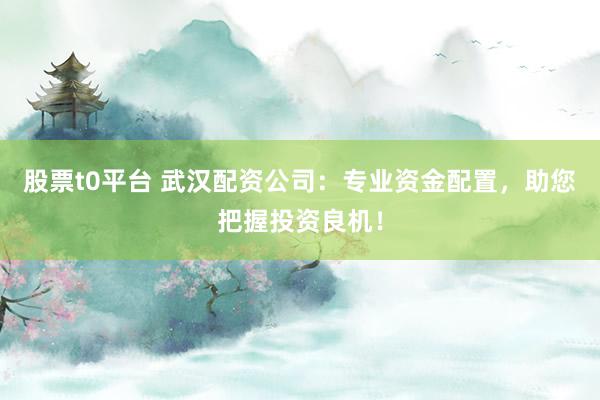 股票t0平台 武汉配资公司：专业资金配置，助您把握投资良机！