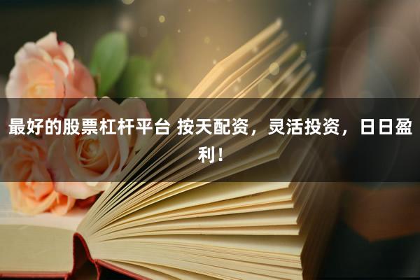 最好的股票杠杆平台 按天配资，灵活投资，日日盈利！