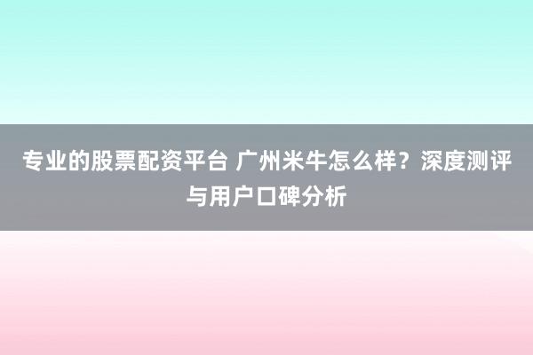专业的股票配资平台 广州米牛怎么样？深度测评与用户口碑分析