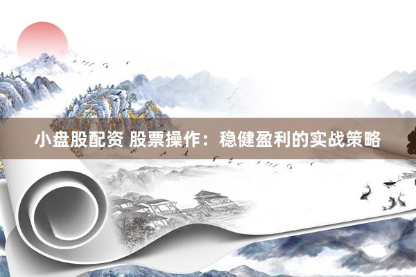 小盘股配资 股票操作：稳健盈利的实战策略