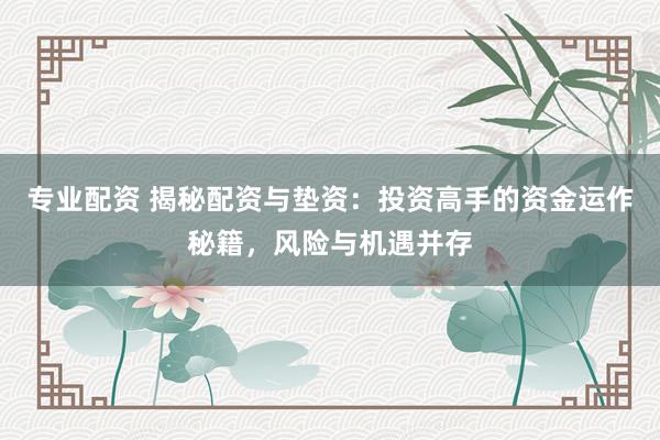 专业配资 揭秘配资与垫资：投资高手的资金运作秘籍，风险与机遇并存
