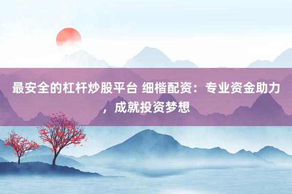 最安全的杠杆炒股平台 细楷配资：专业资金助力，成就投资梦想