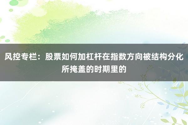 风控专栏：股票如何加杠杆在指数方向被结构分化所掩盖的时期里的