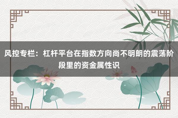 风控专栏:杠杆平台在指数方向尚不明朗的震荡阶段里的资金属性识