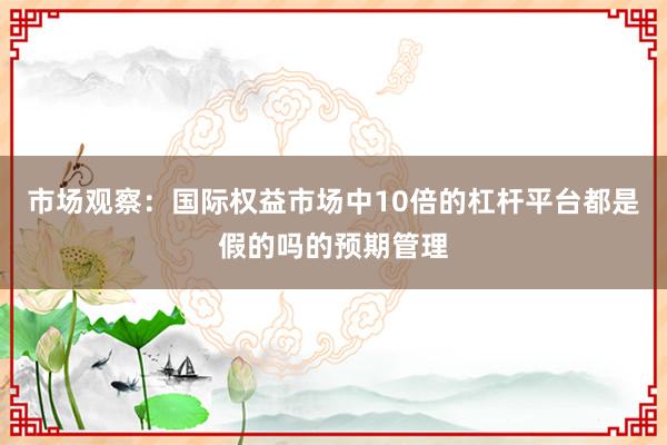 市场观察:国际权益市场中10倍的杠杆平台都是假的吗的预期管理
